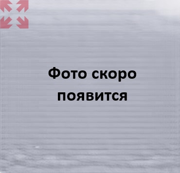 картинка Клеммник пруж.быстрозажимной (Push in) с держ.предохр.(5х20), 2,5 мм.кв., с индикацией 24VAC/DC. OPK 2,5 SLD 24VAC/DC; (серый) (2512) от магазина 100ампер