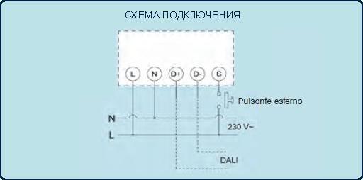 CIRCUMAT PRO DALI.JPG